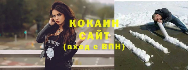 индика Алзамай
