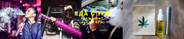 индика Алзамай