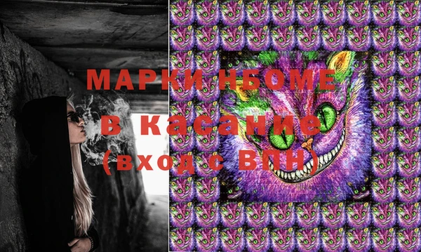 индика Алзамай