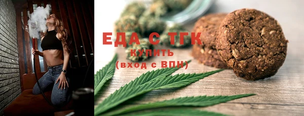 индика Алзамай