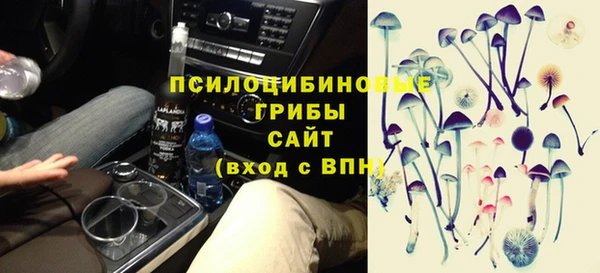индика Алзамай