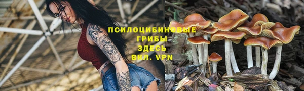 a pvp Алексеевка