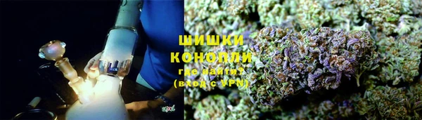 индика Алзамай