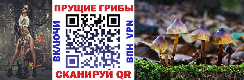 Псилоцибиновые грибы ЛСД  ОМГ ОМГ как войти  Покров 